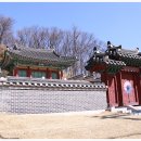 새능 이미지