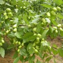 절골농장 이미지