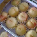 정호진농장 이미지