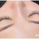 세인자연 이미지