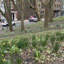 리치몬드 이미지