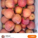 수룡농산