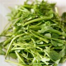 미나리슈퍼 이미지