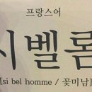 바다가되고싶어요