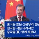칭따오탕후루 이미지