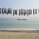 철없는바다 이미지