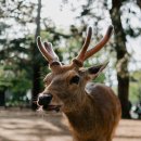 건설부분정비 이미지