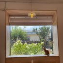 스테이모슬 이미지