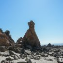 별자리호스텔 이미지