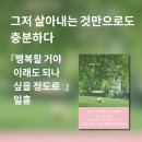 일홍 이미지