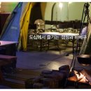 정글바베큐