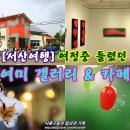 여미갤러리 이미지