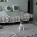 네일9단 | 2026년 1월 일상 zip ᯓᡣ𐭩