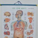 한국피부체형관리사교육원 이미지