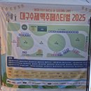 2025 대구 수제 맥주 페스티벌 개최 첫날 방문 후기