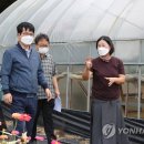 진흥2농장 이미지