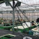 언양비닐 이미지