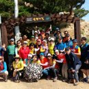 솔의향기 이미지