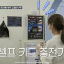 유폴24시애견셀프목욕