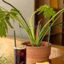 브라운하우스 이미지