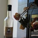 세계적인 술 떼낄라(Tequila) 이미지