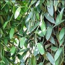 김성호농장 이미지