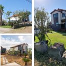 사이다하우스펜션 이미지