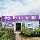 별빛다육농원