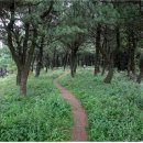 사격장입구 버스정류소 이미지