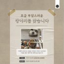 똘이김밥