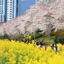 온천천남로 이미지