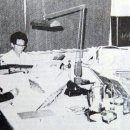 천지번역