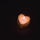 동영상 [Candle] 이미지