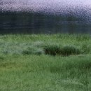 향남피부과의원 이미지