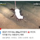 동해 가자미 낚시, 누가 많이 잡았나? (장호항 재경호)