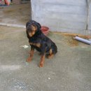 경호목장 이미지