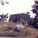 대포연대 이미지