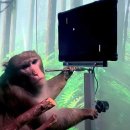 인공지능 시대의 컴퓨터 이미지