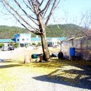 신녕서부초등학교 이미지