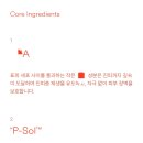 라비안느