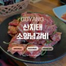 해보보건지소 | 백석역맛집 산지태소양념갈비 소양념갈비 진짜 잘하는 재방문 각 솔직후기