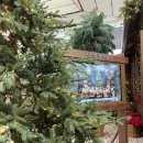 현대사슴농장 | 더현대 서울 아틀리에 드 노엘 크리스마스 팝업 아쉬운 후기