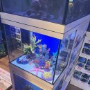 아쿠아춘천닭갈비 이미지