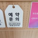 슈나우펫 이미지