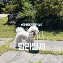 탐라에어 - 서귀포시 보성구억로126번길 60-2 | 탐라에어