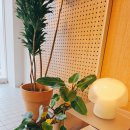 스키비 | 대구 칠곡 카페 | 분위기부터 커피까지, 스키비커피 솔직후기 (내돈내산)