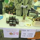 보성체육공원 보성군공설운동장 | 보성마라톤+다향대축제