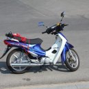 로시난테 이미지