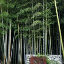 풍자농원 이미지