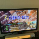 주포축산 | "다콩지의 호캉스" (신라스테이/써브웨이/이마트트레이더스 피자/로빈뮤지엄/배민B마트 행사/앤티앤스...